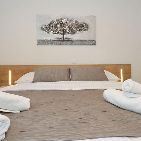 Villa Ankora 2 With Heated Pool Biograd Na Moru Zewnętrze zdjęcie